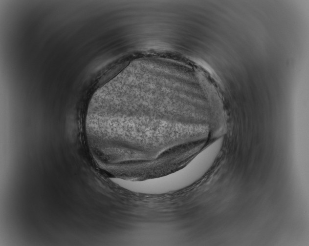 X0000092001112200710041002