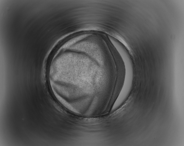 X0000092001116200710041002