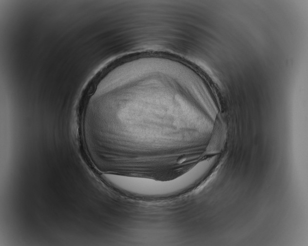 X0000092001118200710041002