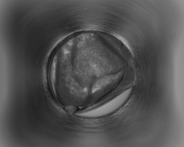 X0000092001120200710041003