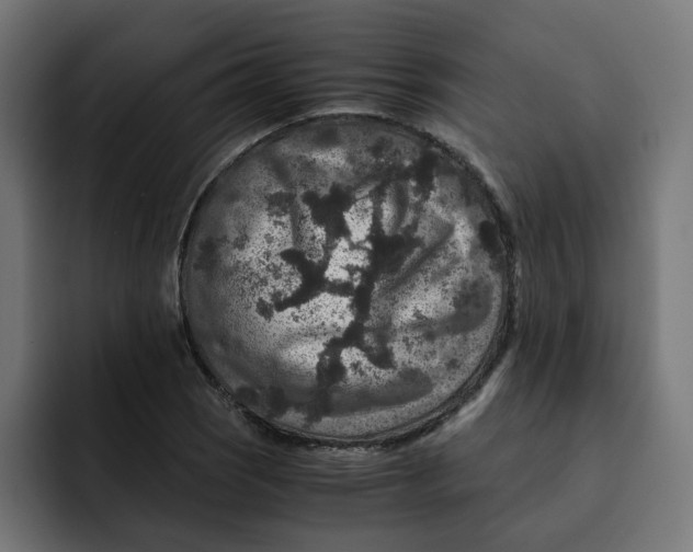 X0000092001121200710041003