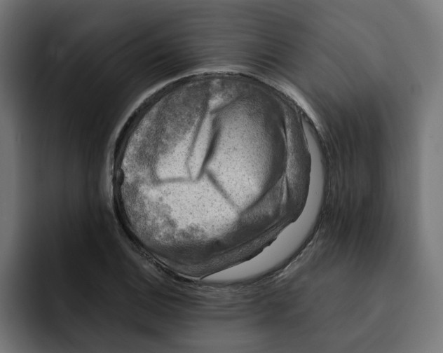 X0000092001124200710041003