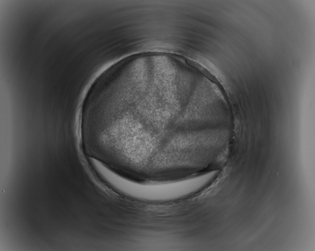 X0000092001128200710041003