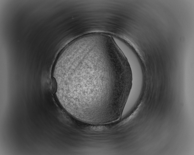 X0000092001129200710041003