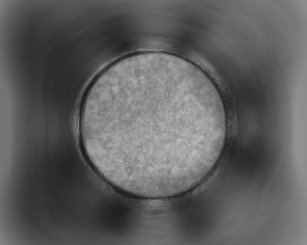 X0000092001130200710041003