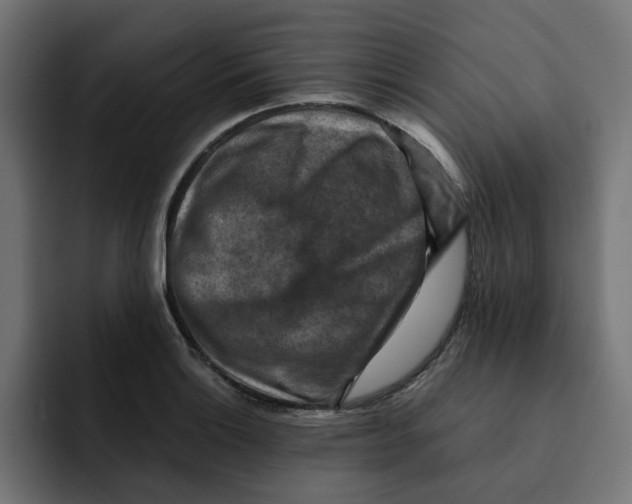 X0000092001132200710041003