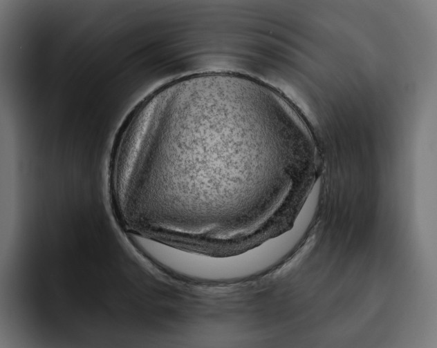 X0000092001134200710041003