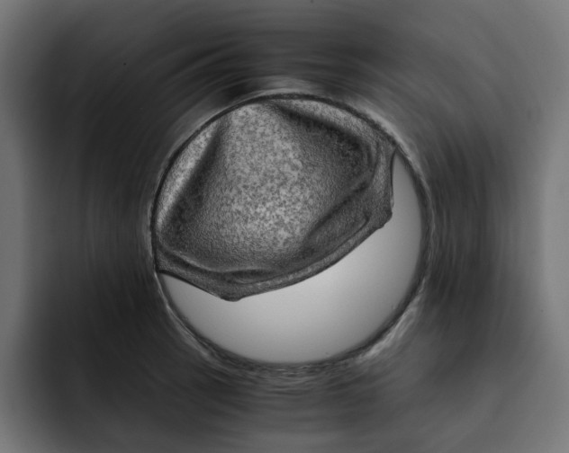 X0000092001137200710041003