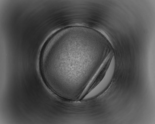 X0000092001139200710041003