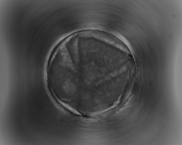 X0000092001144200710041003