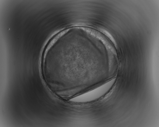 X0000092001146200710041003