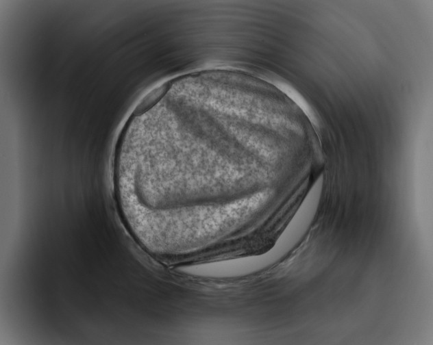 X0000092001148200710041003