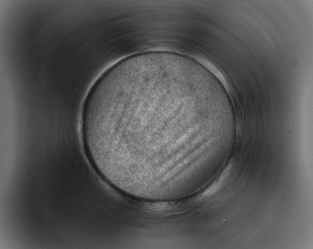 X0000092001149200710041003