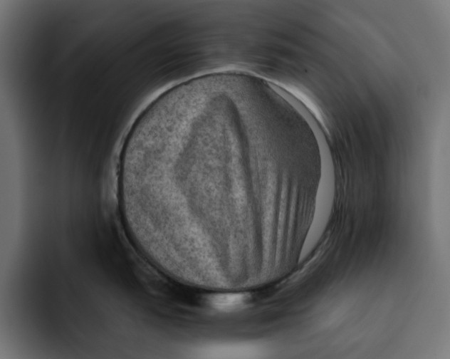 X0000092001151200710041003