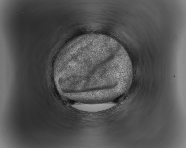 X0000092001153200710041002