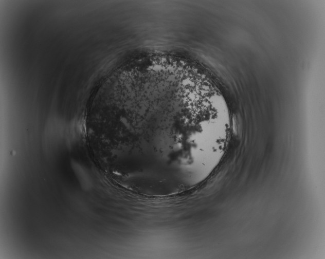 X0000092001155200710041002