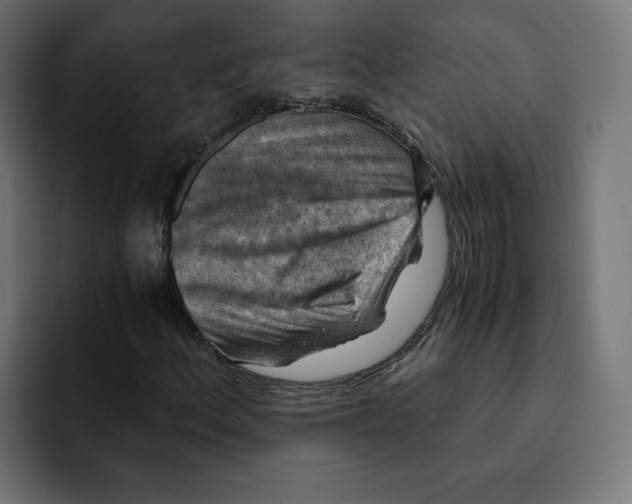 X0000092001156200710041002