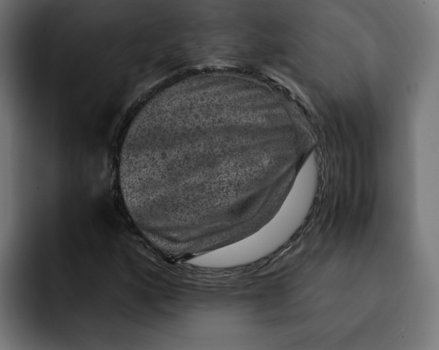 X0000092001160200710041002