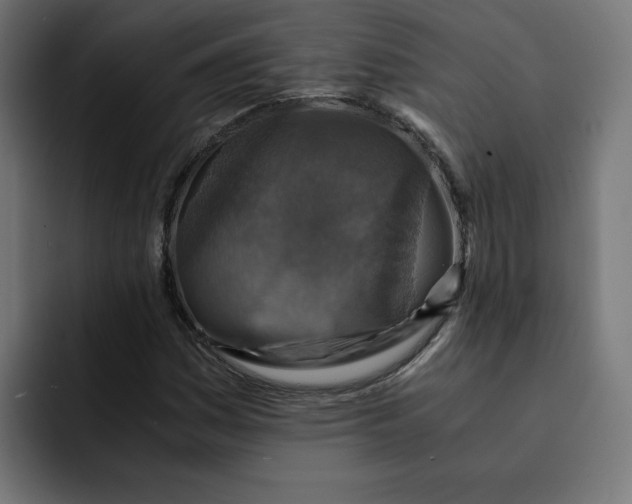 X0000092001161200710041002