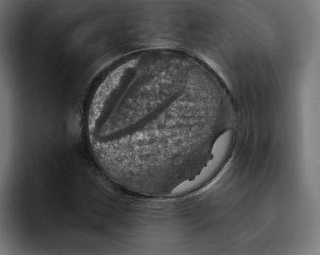 X0000092001163200710041002