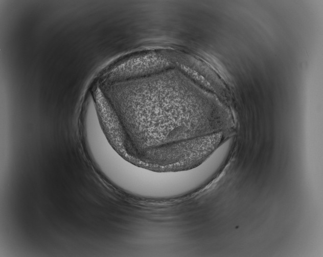 X0000092001164200710041002