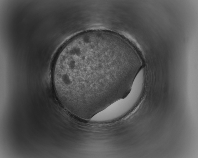 X0000092001167200710041002