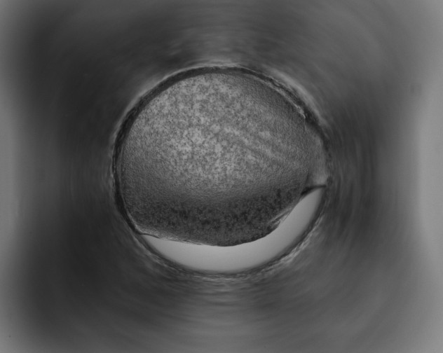 X0000092001168200710041002