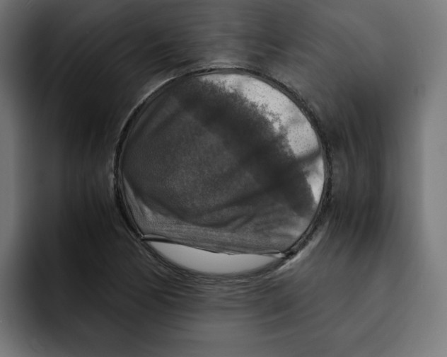 X0000092001170200710041002