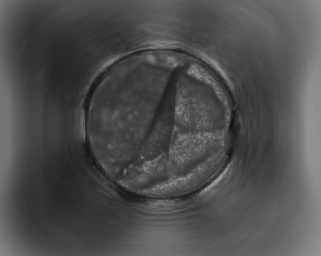 X0000092001171200710041002