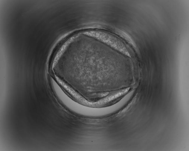 X0000092001172200710041002