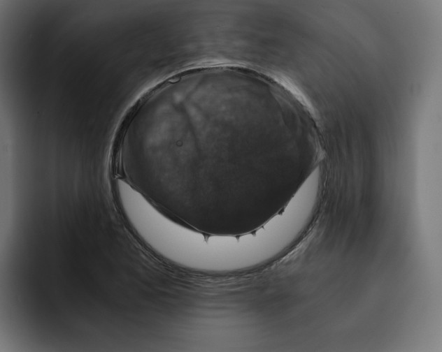 X0000092001173200710041002