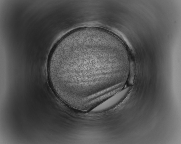 X0000092001176200710041002