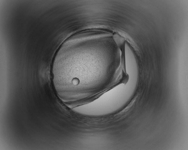 X0000092001177200710041002