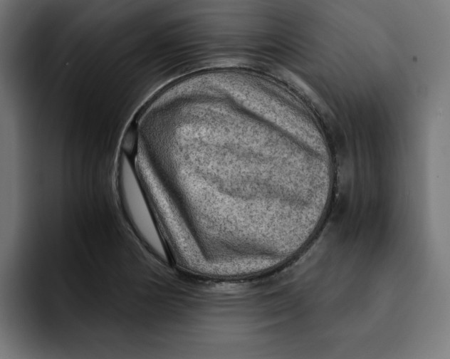 X0000092001178200710041002