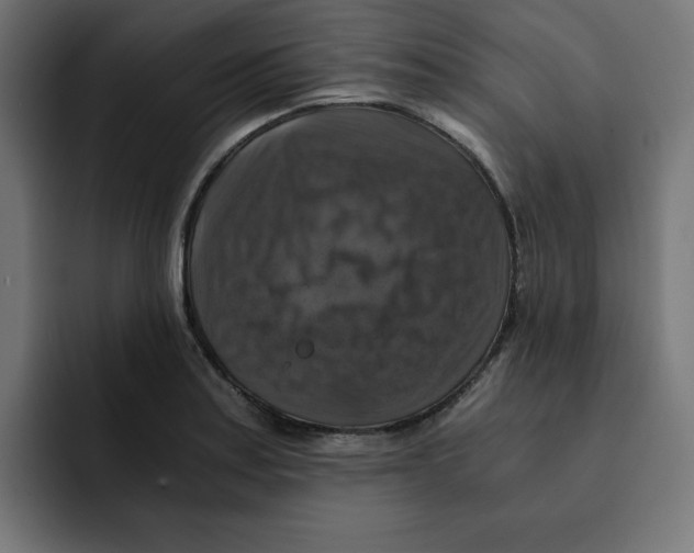 X0000092001179200710041002