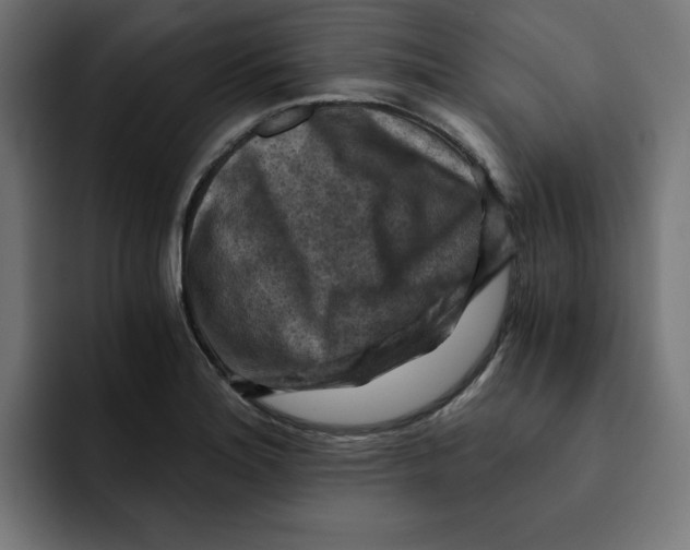 X0000092001180200710041002