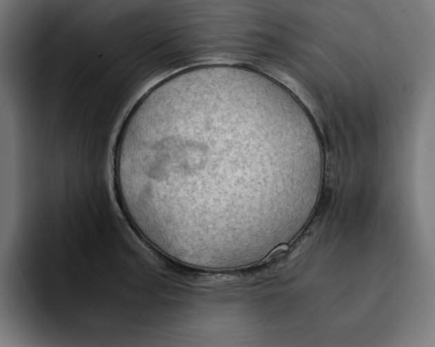 X0000092001187200710041002