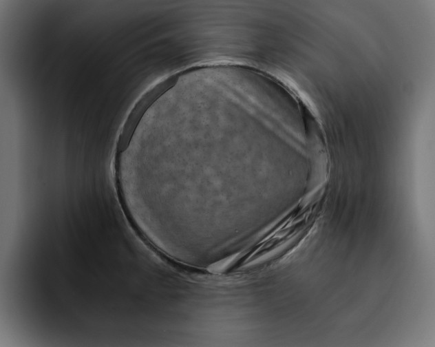 X0000092001189200710041002