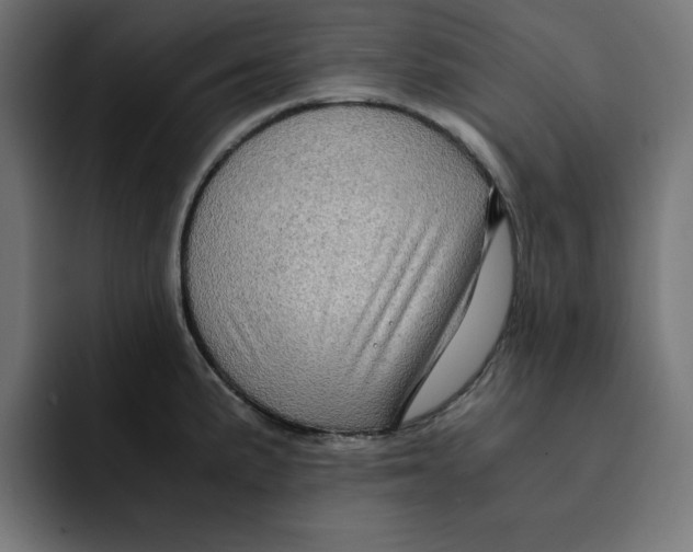 X0000092001191200710041002