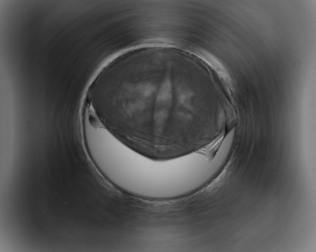 X0000092001192200710041002