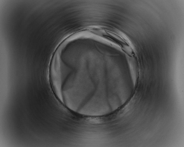 X0000092001194200710041002