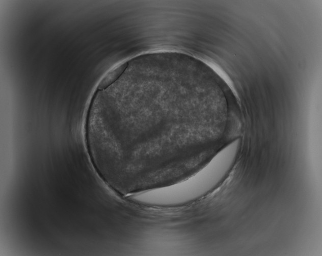 X0000092001197200710041002