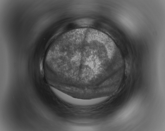 X0000092001198200710041002