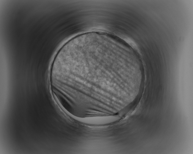 X0000092001200200710041002