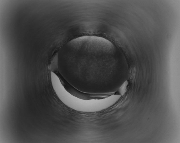 X0000092001202200710041001