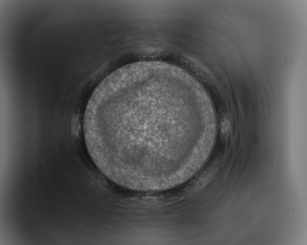 X0000092001204200710041001