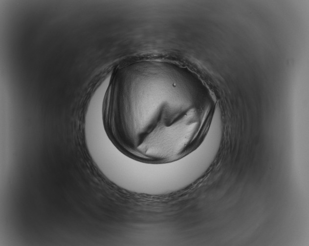 X0000092001206200710041001