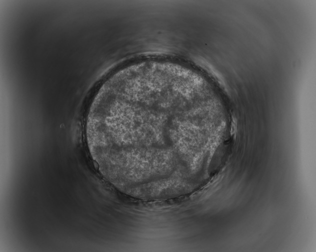 X0000092001208200710041001