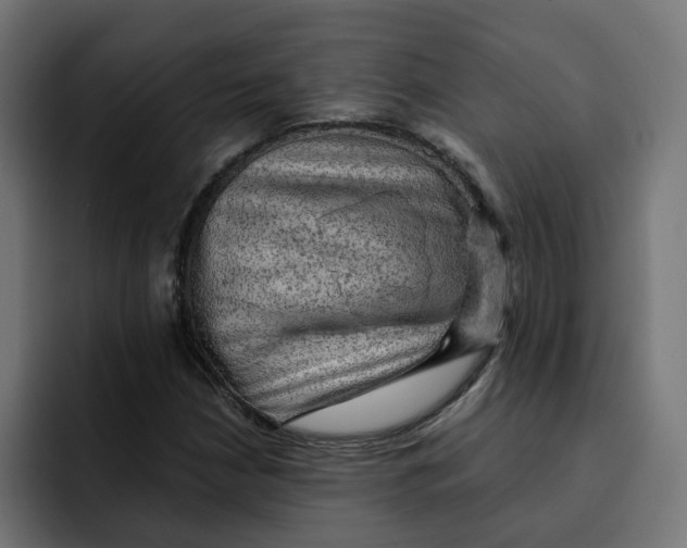 X0000092001210200710041001