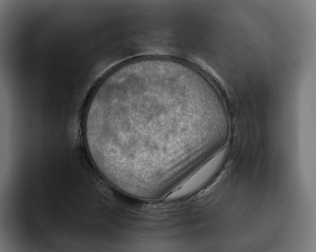 X0000092001215200710041001